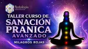 Taller Curso De Sanación Pranica Avanzado – Milagros Rojas